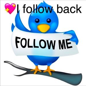 Build your store following